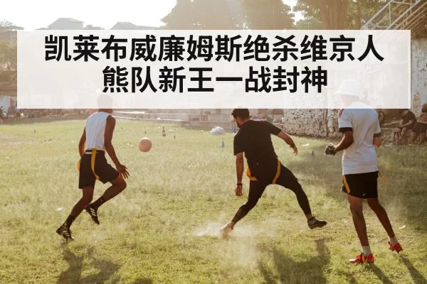 凯莱布威廉姆斯绝杀维京人 熊队新王一战封神